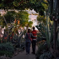 Krohn Conservatory